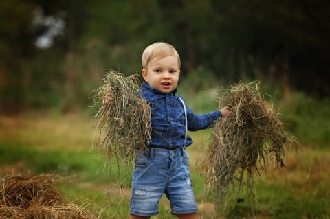 Toddler in denim outfit holding dried grass bundles in outdoor field setting